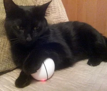 Ball Cat-Toy Pet-Product Interactive-Toys Electric Automatic Rechargeable Flashing-Ball