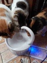 Fuente de Gato de 2L con luz azul, dispensador de agua automático alimentado por USB, alimentador de gatos, filtro de bebida para gatos y perros, proveedor de mascotas