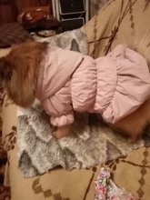 Hoodie Coat Outfit Warm-Dress Girl Dog Winter Princess New Floral 6-Sizes Bubble-Skirt