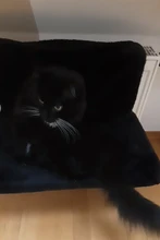 Pet Cat Animal Hammack Luxury Radiator Bed Hanging Winter Warm Fleece Basket Fleece