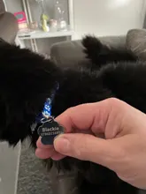 Pendant Pet-Accessories Engraved Dog-Cat-Tags Name-Collar Dog Puppy Paw Personalized