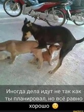 Adhesivo acrílico 3M VHB, cinta de espuma de doble cara resistente al agua IP68, decoración para el hogar, el coche y la Oficina, alta calidad, AA8809