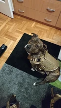Molle Vest Panels Dog-Harness Dogs Military-Working Training Rubrab Tactical Metal 