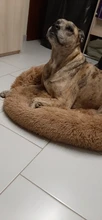 Cushion Dog-Bed Donut-Shape Washable Cute Removable Sofa Round Dog-Bed/cat-Bed-Supplies