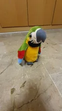 Peluche de loro parlante eléctrico para niños, juguete de peluche de pájaro parlante con alas que se repiten, regalo para niños