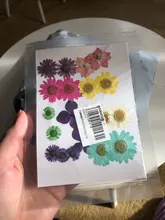 Pegatinas de flores naturales de resina UV para decoración de joyas, adhesivos de belleza seca para Resina epoxi DIY, 1 paquete