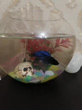 Air-Pump Aquarium Fish-Tank Mini Low-Noise Ultra NICEYARD