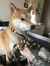 National style Nylon Printed Dog collar and leash set Adjustable Puppy Small 