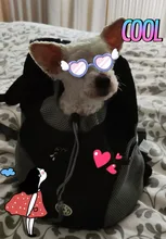 Mochila De viaje portátil plegable con doble hombro para mascotas, bolsa de transporte frontal de malla para perros y gatos