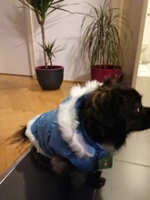 Dog Cat Winter Warm Coat Jacket Dress Pet Puppy Hoodie Winter Warm Clothes Apperal