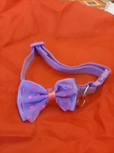 Collar de nailon con lazo para perro y gato, para mascota, con lazo, Color caramelo, 1 unidad