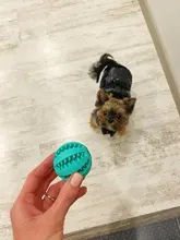 Toy-Ball Chew-Toys Cleaning-Ball Treat-Feeder Puppy Pet-Dog Dog-Food Chihuahua Tooth