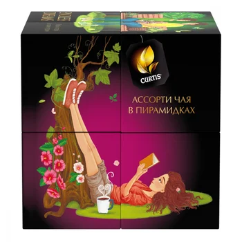 

Tea Curtis "Endless Dreams", assorted, 24 pyramid