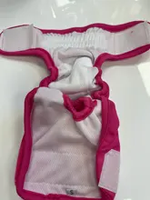 Pet-Physiological-Pants Underwear Diapers Dog Washable Female Short Puppy for Small Doggie