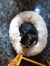 Dog-Bed House Labradors Cushion Pet-Product Cat-Mat Round Plush Accessoriesdog Large