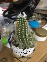 Unift Vintage único Flor de adorno calado de la vida de anillos de acero inoxidable anillo de moda joyería Wicca mujeres hombres pareja anillos Accesorios