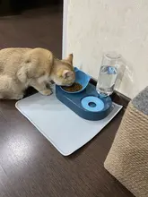 Anti-Slip Waterproof Pet Mat For Dogs Cats Solid Color Silicone Pet Food Pad Bowl Drinking