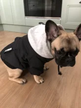 Jacket French Bulldog Dog Winter SUPREPET Coat Pet-Dog Dogs Large Cotton for Warm Perro