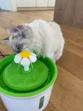 Bowl Pets-Drinker-Feeder Water-Dispenser Dog-Water-Fountain Cat Automatic USB Mute Electric