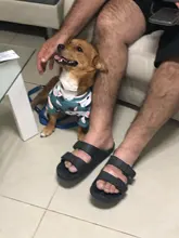 Warm Dog Sweatshirt Puppy-Clothes Dog-Costume Soft-Fleece Chihuahua Winter Yorkshire