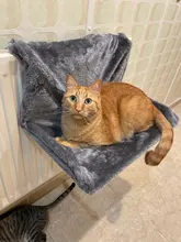 Pet Cat Animal Hammack Luxury Radiator Bed Hanging Winter Warm Fleece Basket Fleece