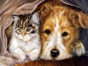 

Coloring by numbers on cardboard "best friends" color kit ks011