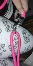 Caseta de CAWAYI de nailon suave para perros de compañía, cuerda de tracción de cadena, manos libres, diagonal, a prueba de explosiones, para perros grandes