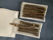 Hierba gatera Natural palo gato de limpieza de dientes Molar dientes con Silvervine Actinidia de palillos de gato para aperitivo Gato de limpieza