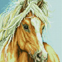 Алмазная мозаика EF 794 Конь с белой гривой 30*40