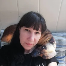 Almohada con estampado de perro en 3D, bonita cabeza de perro, Animal realista, divertida cabeza de perro, Cosplay, cojín de juguete favorito para niños para el hogar