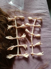 ICY DBS muñeca Blyth n. ° 3, cara brillante, piel blanca, cuerpo articulado, precio especial, 1/6 BJD, juguete para regalo, ob24