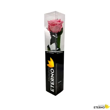 

Mundo eternal Rosa Eterna preserved 35cm pink