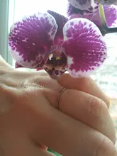 Anillo de titanio y acero fino para hombre y mujer, anillo de dedo de color dorado, rosa, moda Simple, Color plateado, 1MM