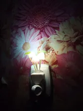 Luminaria-Lamp Mushroom Night-Light Us-Plug LED Induction-Dream Novelty Fungus 220V EU