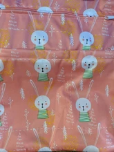 Asenappy-Bolso húmedo seco con dos cremalleras, bolsa de pañales para bebés, impermeable, reutilizable, lavable, 30x36cm