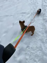 Leash Automatic Lead Traction-Rope Pet-Supply Nylon Dog Double-Head Outdoor Walking Solid