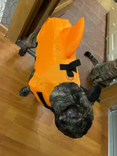 Chaleco salvavidas para perro, chaqueta salvavidas, ropa de baño para perros, traje de baño para mascotas, forma de tiburón