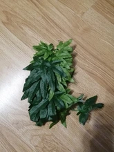 Simulation Green Hanging Leaves for Aquarium Fish Tank Reptile Feeder Box Decor