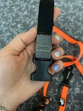 Leash Truelove Dog Elastic Retractable Running-Bungee Hand-Held Jogging Walking Dog-Leads