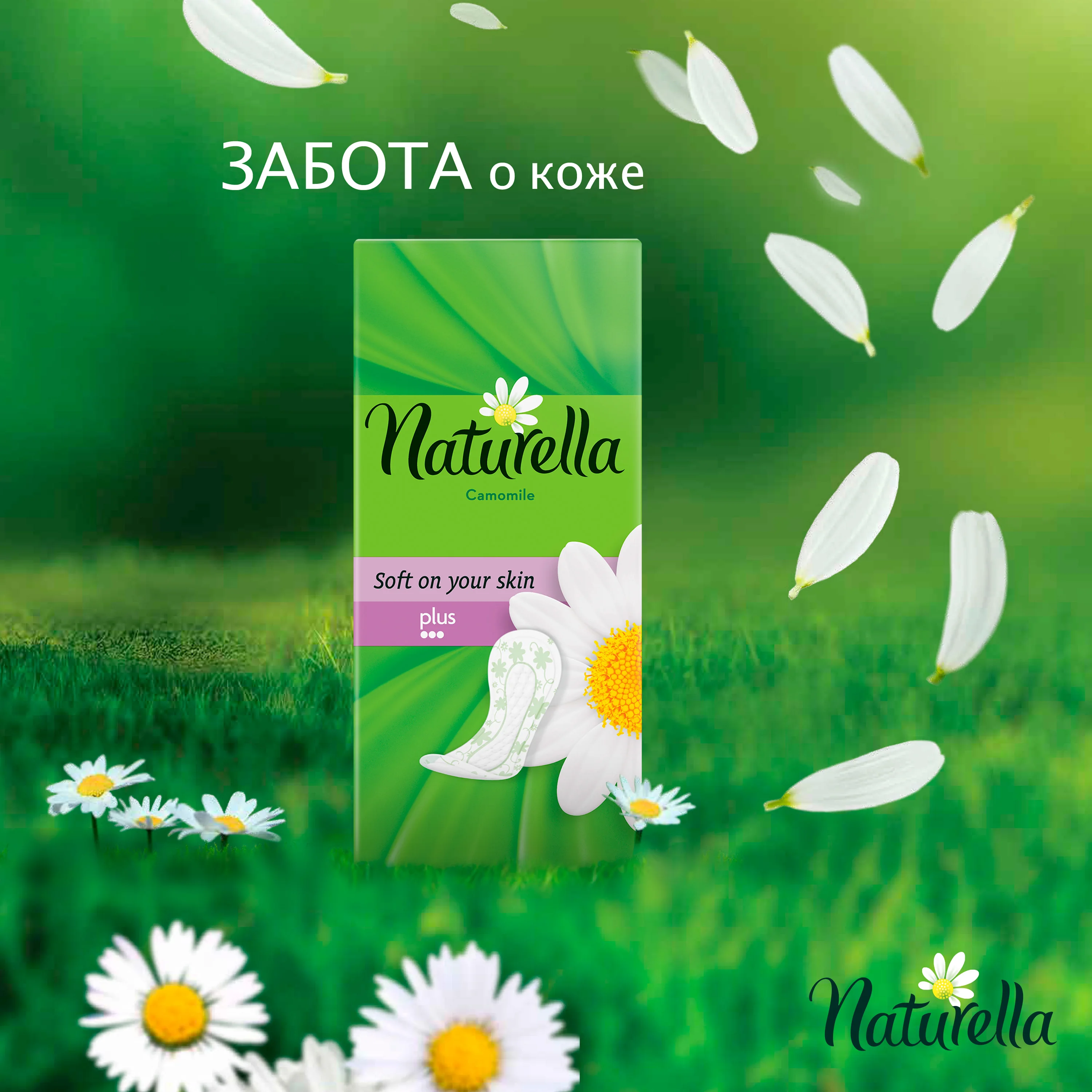 Женские ароматизированные ежедневные прокладки Naturella Camomile plus(с ароматом ромашки), 50 шт