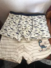 Bóxer de algodón para niños, ropa interior de 2 a 14 años, Diseño de dinosaurio de elefante, bragas suaves, lote de 2 uds., ZL89