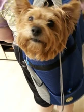 Al aire libre viajes de mascotas de doble bolsa de hombro portátil de viaje mochila al aire libre bolsa de transporte perro mascota frente perro bolsa de malla de mochila de la cabeza