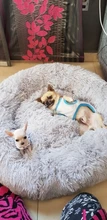 Pet bed for dog donut bed plush cat bed accessories kennels for dogs mascotas productos