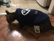 Invierno ropa para gato mascotas ropa de cachorros y perros sudaderas con capucha para pequeño mediano perros gato gatito Kitty trajes gatos abrigos chaquetas trajes