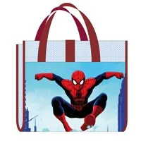 

Mat Spiderman Cushion Inflatable 75X150cm.