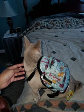 Dog-Backpack Petcircle And Environmentally-Friendly Convenient Multicolor Hot-Sale Lovely