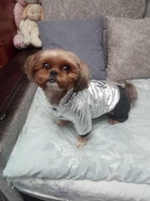 Jumpsuit Pet-Costumes Cotton-Padded Silver-Color Dogs Waterproof Winter Fashion for Hoodie