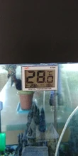 Termómetro Digital LCD para tanque de peces, medidor de temperatura del acuario, temperatura del agua, 0C ~ 37C