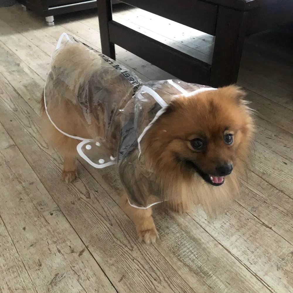 Best Dog Raincoat with Hood Puppy Raincoat with Hood Waterproof Dog