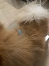 No-¡perro arnés reflectante ajustable de franela acolchada pequeño, mediano y grande arnés tipo chaleco para perro fácil para caminar de formación